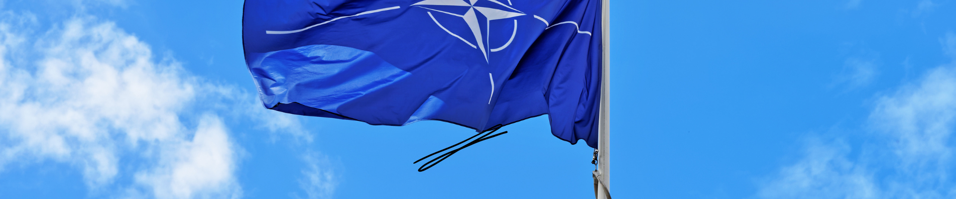 NATO The importance of alliances!