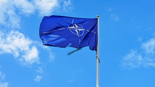 NATO The importance of alliances!